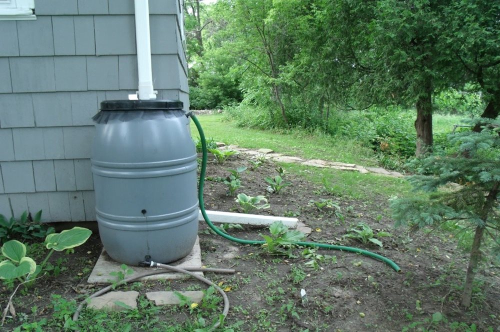 Rain Water 